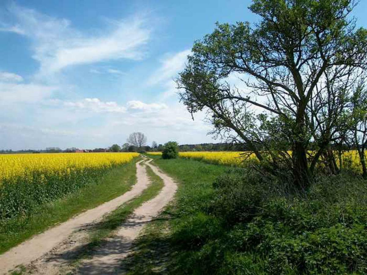 Auszeit Zu Zweit - Usedom Ferienwohnungen Tannengrund Loddin Ngoại thất bức ảnh